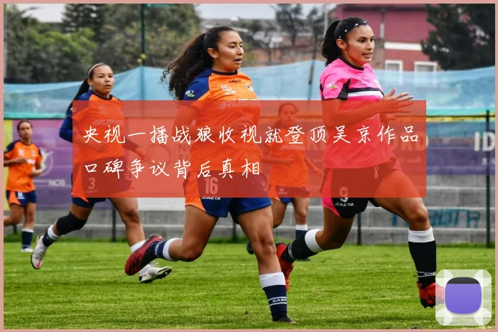 央视一播战狼收视就登顶吴京作品口碑争议背后真相