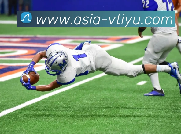 V体育Asia官网服务体系